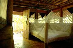 Voyage sur-mesure, Ecolodge